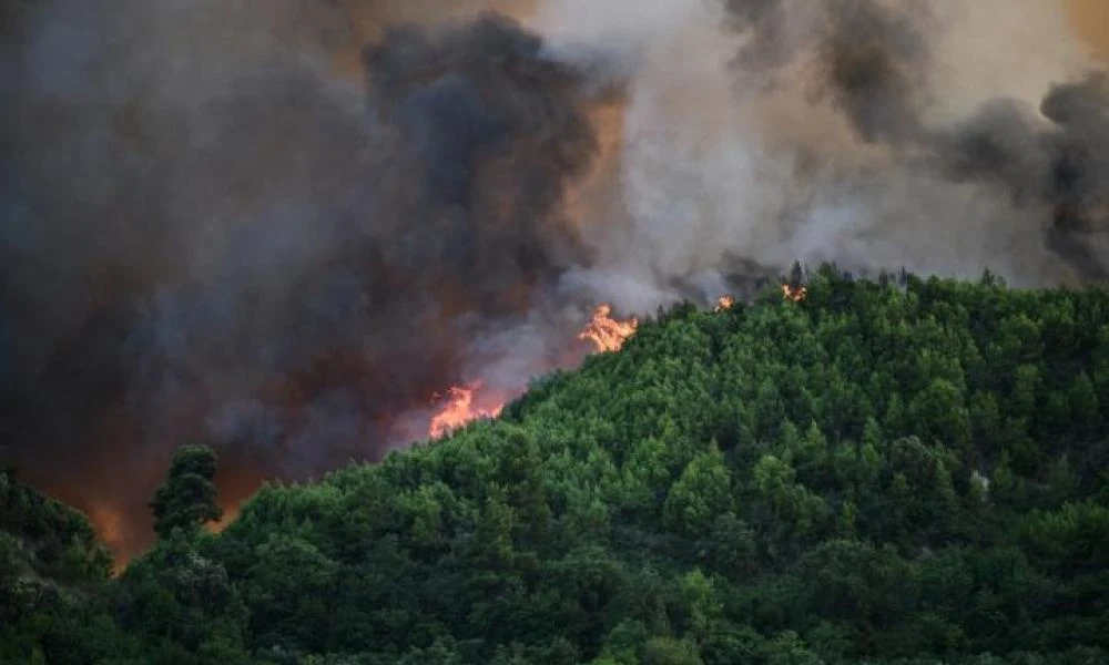 Πυρκαγιά ξέσπασε σε δασική έκταση στην Λάσδικα Αρχαίας Ολυμπίας